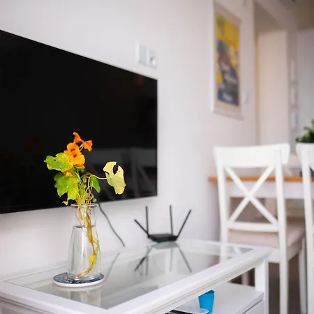 Welcoming In Luxurious Surroundings Apartment